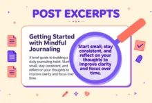 WordPress post excerpt field in the editor sidebar