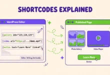WordPress shortcode examples in square brackets in the editor
