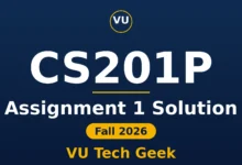 CS201P Assignment 1 Solution Fall 2026