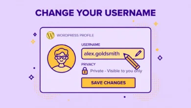 Flat illustration of changing a WordPress username in the admin panel