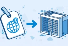 Simple comparison of a domain name and web hosting server explained for beginners